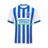 Brighton Hove Albion Uomo Maglia Prima 2024-2025 Manica Corta