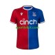 Crystal Palace Uomo Maglia Prima 2023-2024 Manica Corta Crystal Palace Uomo Maglia Prima 2023-2024 Manica Corta