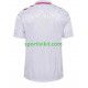 Danimarca Uomo Maglia Seconda Euro 2024 Manica Corta