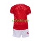 Completo da calcio Bambini Danimarca Maglia Prima Euro 2024 Manica Corta