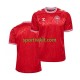 Danimarca Uomo Maglia Prima Euro 2024 Manica Corta Danimarca Uomo Maglia Prima Euro 2024 Manica Corta