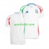 Italia Uomo Maglia Seconda Euro 2024 Manica Corta